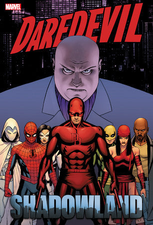 Daredevil: Shadowland Omnibus (main cover)